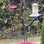 Dotmalls Hummingbird Feeder