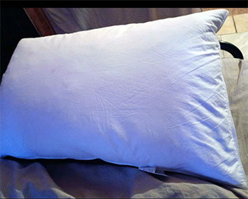 Feather And Down Pillows