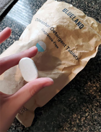 Blueland Dishwasher Tablets