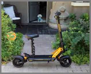 Ausom Leopard Electric Scooter