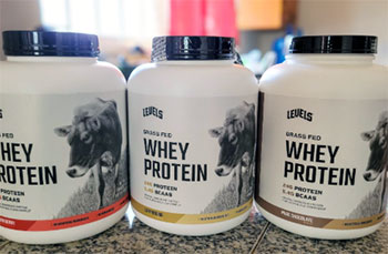 levels protein powder