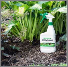 Liquid Fence Deer And Rabbit Repellent