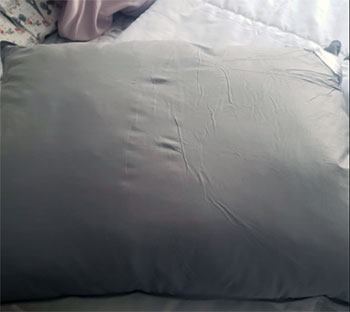 Feather And Down Pillows
