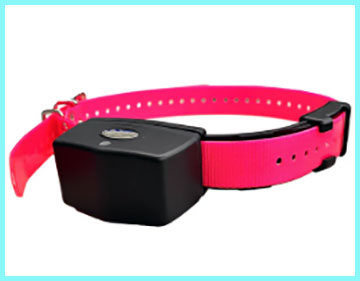 Invisible Fence Gps Collar