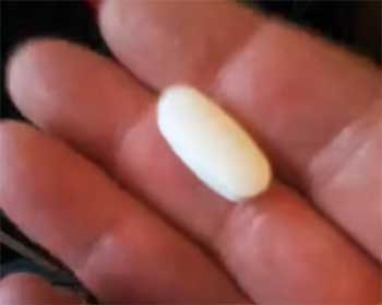 Six Star Creatine X3