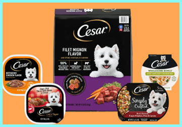 Cesar Dry Dog Food