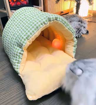Lapcatz Nest Bed