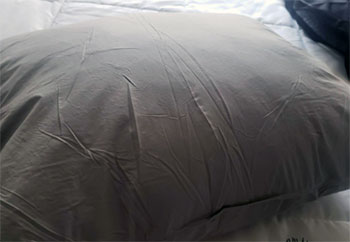 Feather And Down Pillows