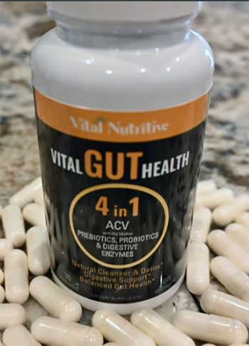 Vital Gut Health 4 in 1