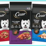 Cesar Dry Dog Food