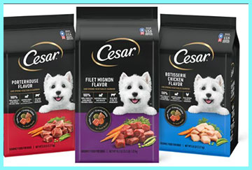 Cesar Dry Dog Food
