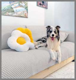 FunnyFuzzy Couch Cover