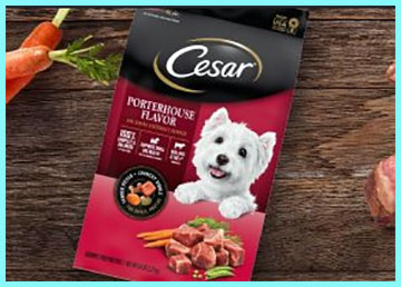 Cesar Dry Dog Food