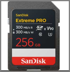 SanDisk Extreme Pro