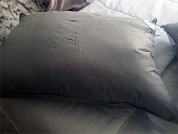 Feather And Down Pillows