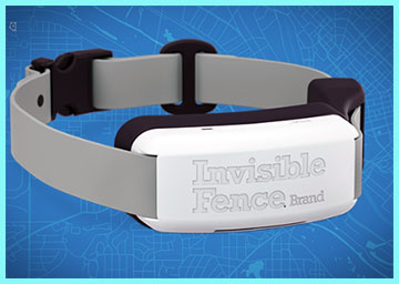 Invisible Fence Gps Collar
