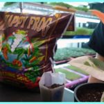 Foxfarm Happy Frog Potting Soil
