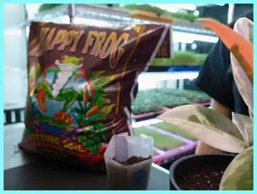 Foxfarm Happy Frog Potting Soil