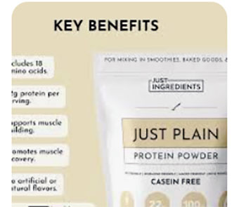just ingredients protein powder review