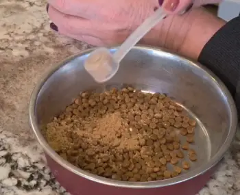 Critical Immune Defense