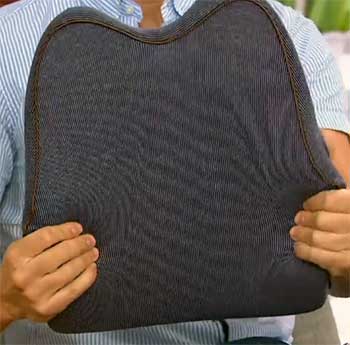 Cubii Lumbar Cushion