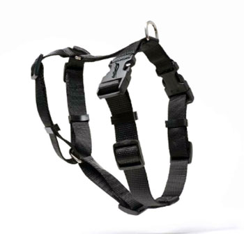 Tailwind Dog Brace