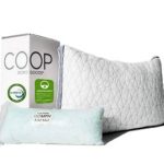 Coop Pillow