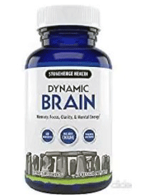 Dynamic Brain