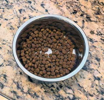 Fromm Puppy Food