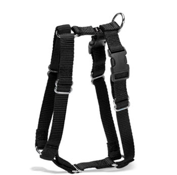 Tailwind Dog Brace