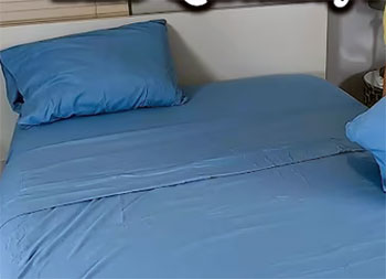 bed bunny sheets reviews