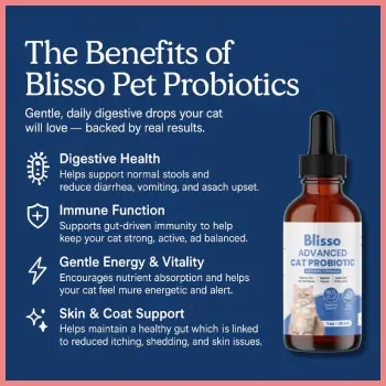 Blisso Cat Probiotic