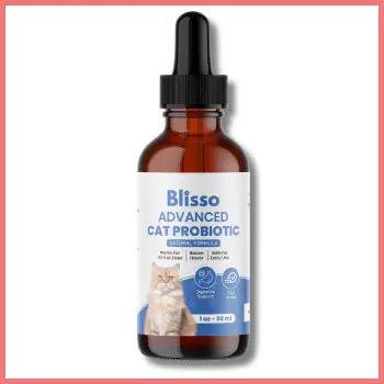 Blisso Cat Probiotic