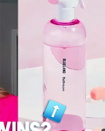 branch basics vs blueland