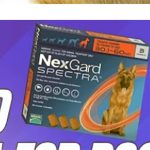 credelio-quattro-vs-nexgard-plus