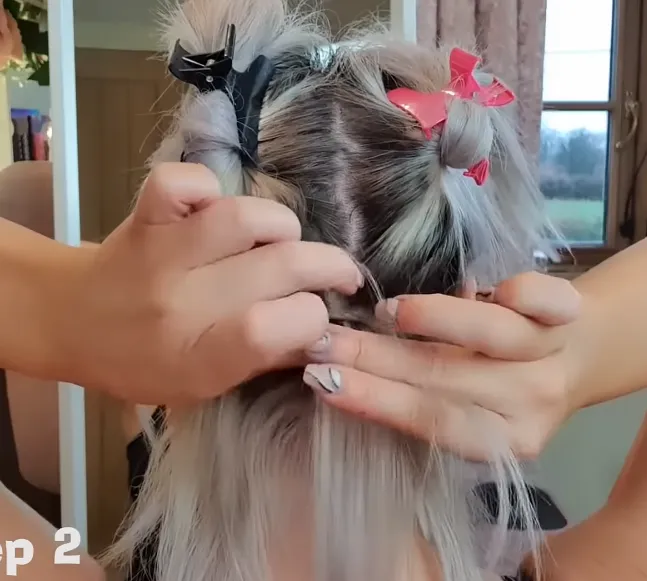 Goo Goo Hair Extensions