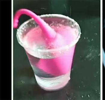 lovense lush 3 reviews