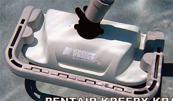 pentair dorado vs great white