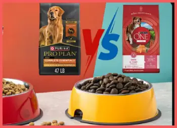 Purina ONE Vs. Purina Pro Plan