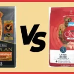 Purina ONE Vs. Purina Pro Plan