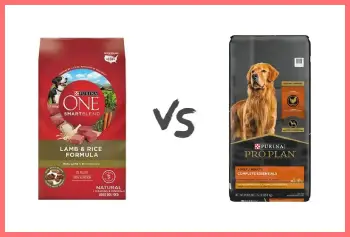 Purina ONE Vs. Purina Pro Plan