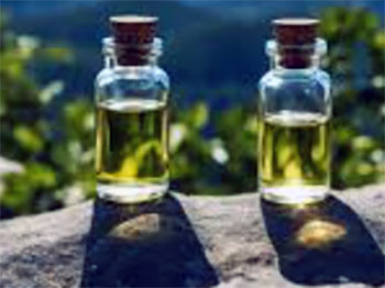 rocky mountain oils vs doterra