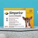 simparica-trio-vs-bravecto