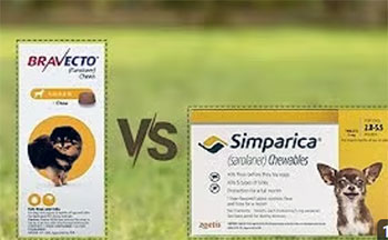 simparica trio vs bravecto