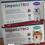 simparica-trio-vs-credelio-quattro