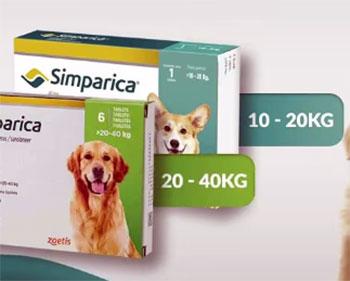 simparica trio vs credelio quattro