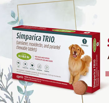 simparica trio vs credelio quattro