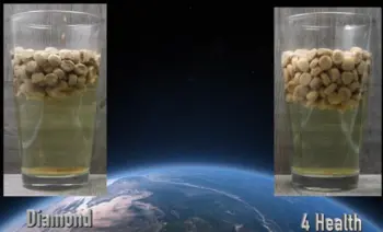 4Health Vs Diamond Naturals