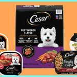 Cesar Dog Food