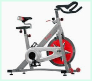Sunny Stationary Bike